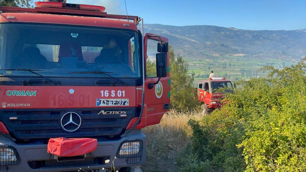 Sakarya'da orman yangını - Resim: 24
